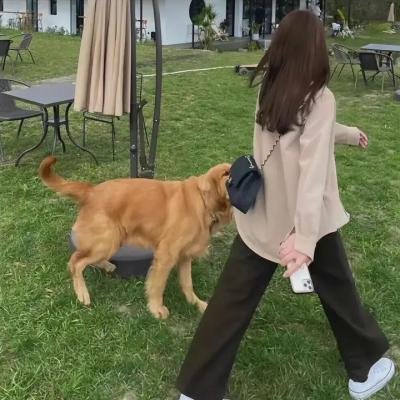 女子当参政详情